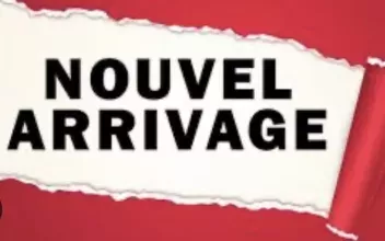 Peugeot Boxer Monéteau