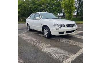 Toyota corolla Tours