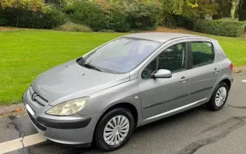 Peugeot 307 Lille
