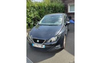 Seat ibiza Angers