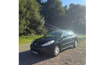 Peugeot 206 Cours-la-Ville