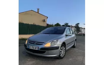 Peugeot 307 Lyon