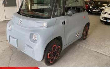 Citroen Ami Harnes