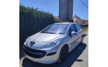 Peugeot 207 Lion-en-Sullias