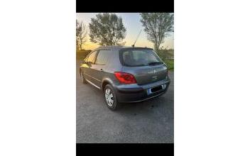 Peugeot 307 Saint-Paul-Mont-Penit