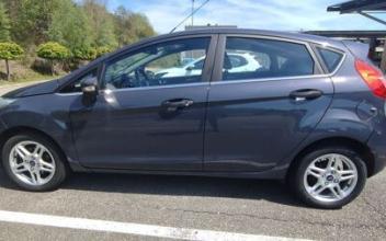 Ford fiesta Folles