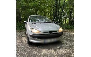 Peugeot 206 Vaux-le-Pénil