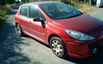 Peugeot 307 Saint-Viaud