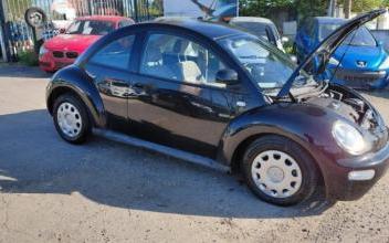 Volkswagen New Beetle Linas