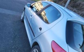 Peugeot 206 Langeac