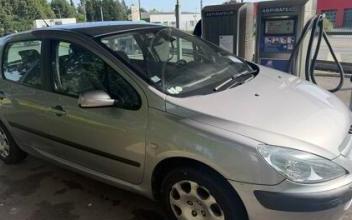 Peugeot 307 Mours