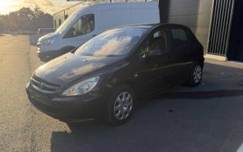 Peugeot 307 Caudan