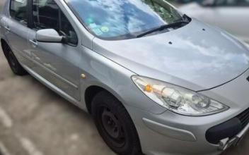 Peugeot 307 Mulhouse