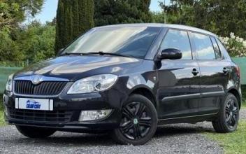 Skoda fabia Eslettes