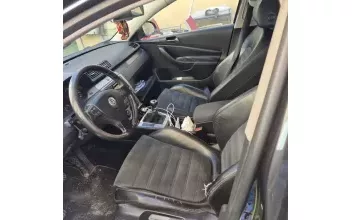 Volkswagen Passat Stains