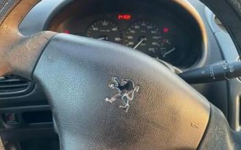 Peugeot 206 Fontenay-sous-Bois