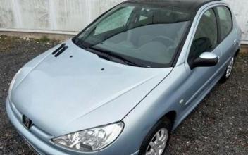 Peugeot 206 Pamfou