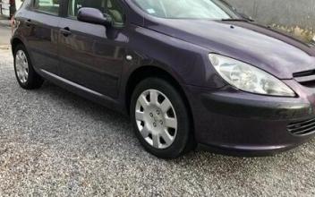 Peugeot 307 Pau