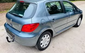 Peugeot 307 Bordeaux