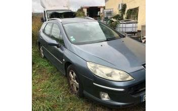 Peugeot 407 sw La-Roche-de-Glun