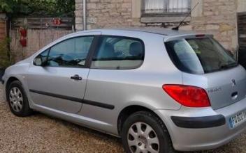 Peugeot 307 Gray