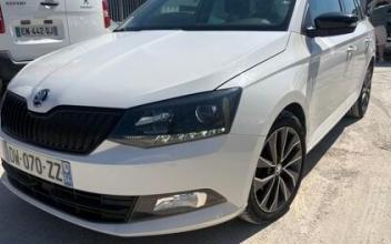 Skoda fabia Arles