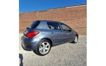 Peugeot 307 Avion