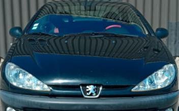 Peugeot 206 Metting