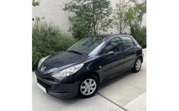 Peugeot 206 Fleury-les-Aubrais