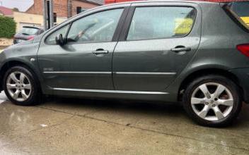 Peugeot 307 Sin-le-Noble