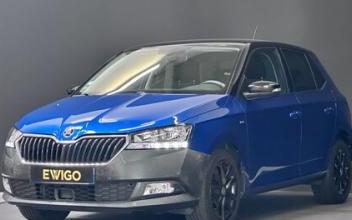 Skoda fabia Tours