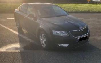 Skoda octavia Paris