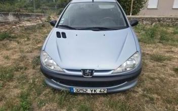 Peugeot 206 Lamaids