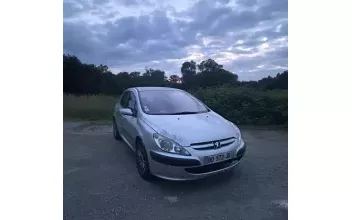Peugeot 307 Angers