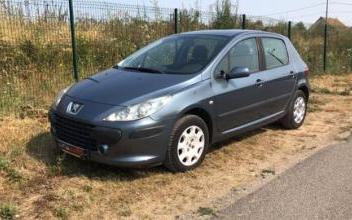 Peugeot 307 Lion-en-Sullias