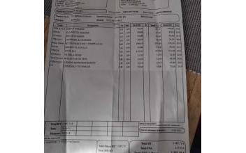 Renault grand scenic ii Lamaids