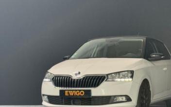 Skoda Fabia Tours
