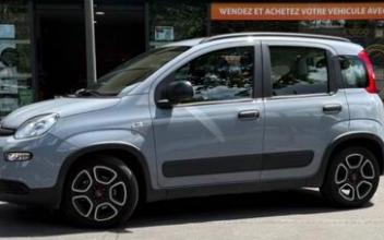 Fiat panda Bordeaux