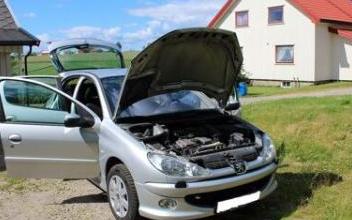 Peugeot 206 Bordeaux