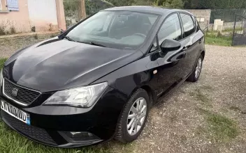 Seat Ibiza Sainte-Anne-sur-Gervonde