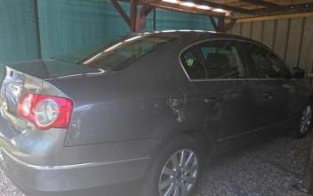 Volkswagen passat Clion