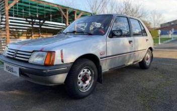 Peugeot 205 Saint-Jean-de-Thurigneux