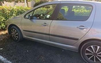 Peugeot 307 Pineuilh