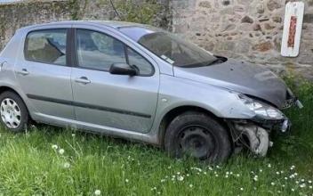 Peugeot 307 Luzy