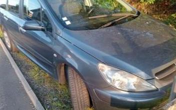 Peugeot 307 sw Tarnos