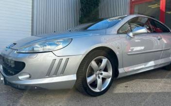 Peugeot 407 Vienne