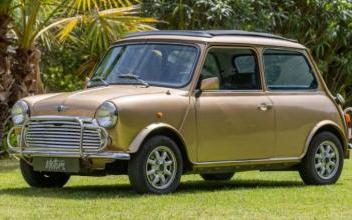 Mini Mini one Nice