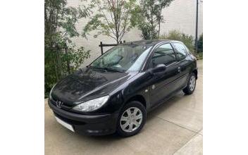 Peugeot 206 Fleury-les-Aubrais