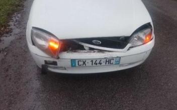 Ford fiesta Colpo