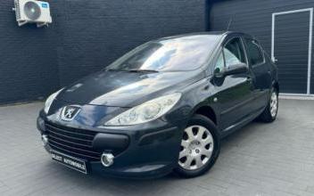 Peugeot 307 Fretin